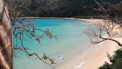 Có nên du lịch Côn Đảo vào mùa gió chướng? 
